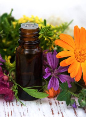 kır çiçeği ve petrol