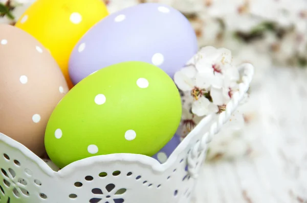 Huevos de Pascua y cerezas florecen — Foto de Stock