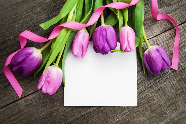 Lente tulp bloemen — Stockfoto