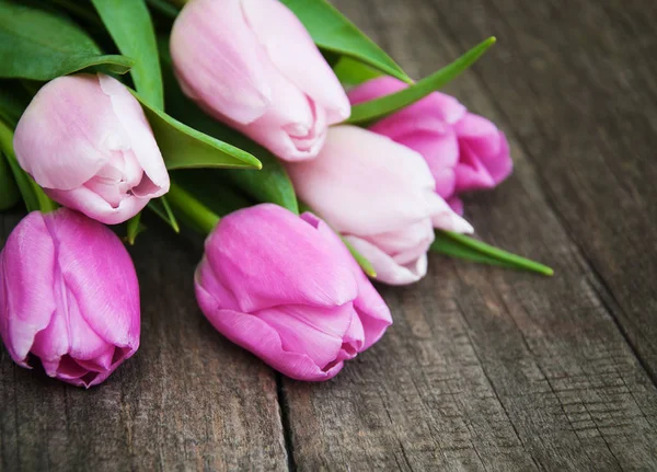 Frühling Tulpen Blumen — Stockfoto