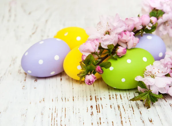 Huevos de Pascua y cerezas florecen — Foto de Stock