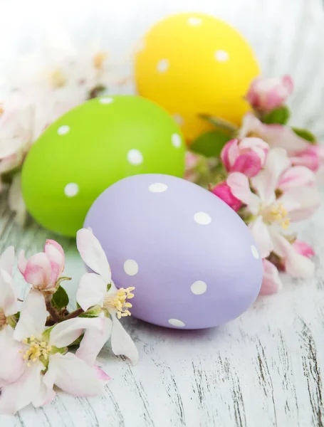 Huevos de Pascua y flor de manzana — Foto de Stock