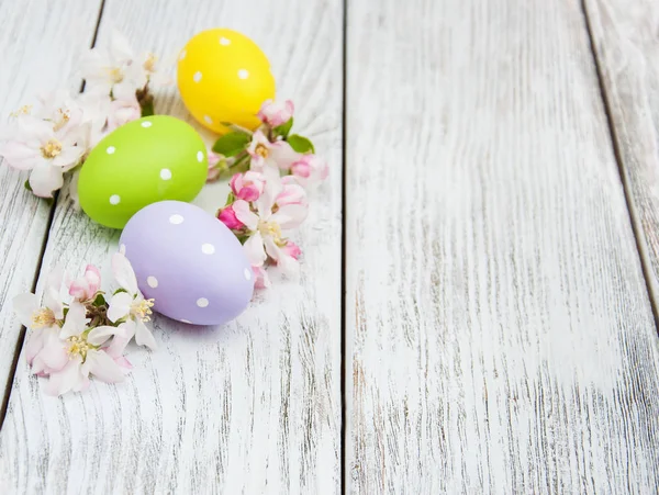 Velikonoční vajíčka a apple květ — Stock fotografie