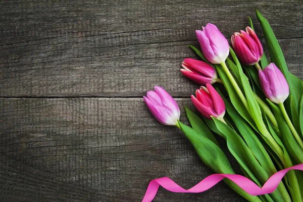 Весенние цветы тюльпанов — стоковое фото