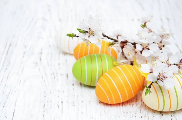 Wielkanocne jajka i wiśni kwiat — Zdjęcie stockowe
