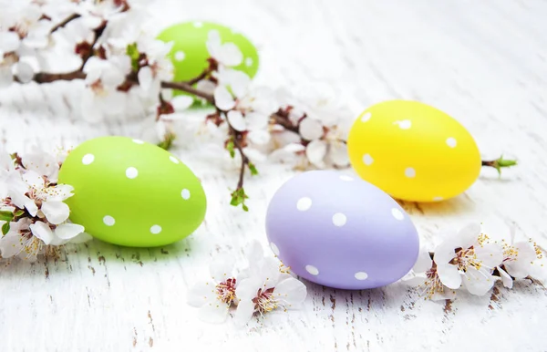 Velikonoční vajíčka a třešní a květu — Stock fotografie