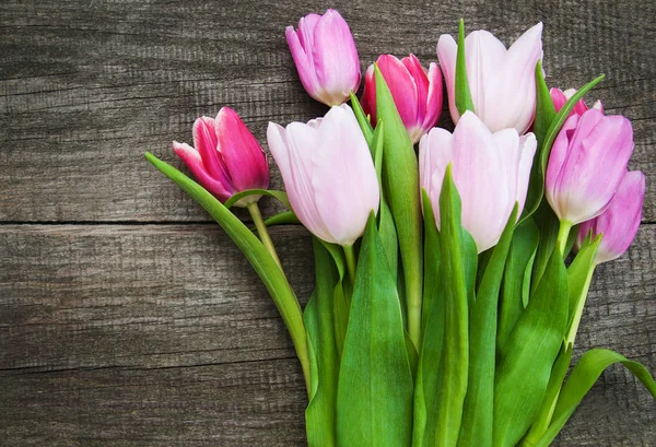 Spring tulip flowers — Stock Photo, Image