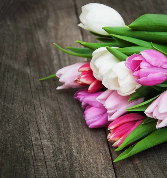 Spring tulip flowers — Stock Photo, Image