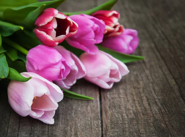 Spring tulips flowers — Stock Photo, Image