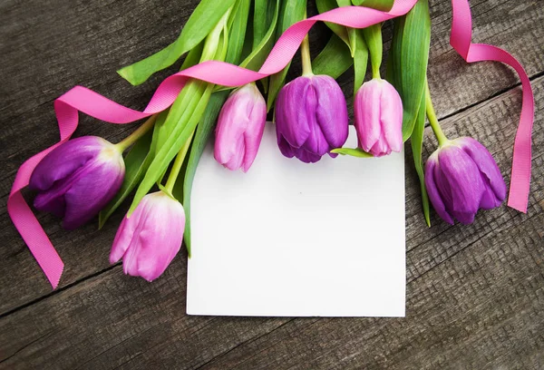 Primavera Tulipán Flores — Foto de Stock