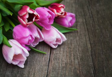 Yuvadaki paskalya yumurtaları