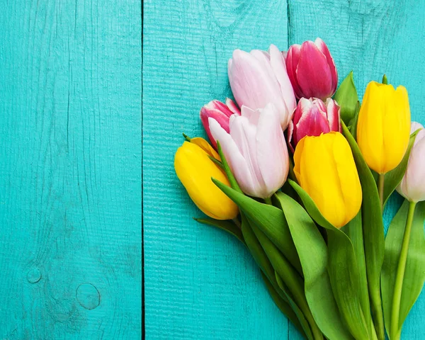 Tulipanes primavera flores —  Fotos de Stock
