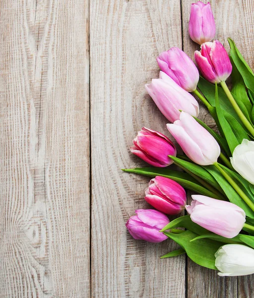 Tulipanes primavera flores —  Fotos de Stock