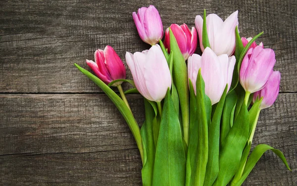 Spring tulip flowers — Stock Photo, Image