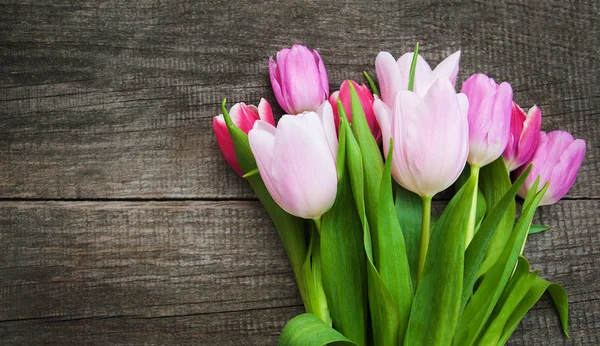 Spring tulip flowers — Stock Photo, Image