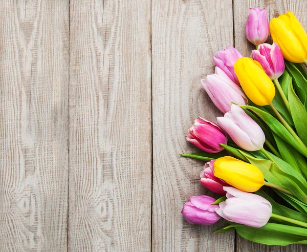 Fleurs de tulipes de printemps — Photo