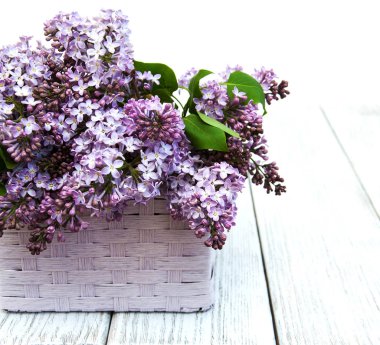 Bahar leylak çiçekleri