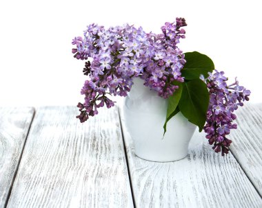 Bahar leylak çiçekleri