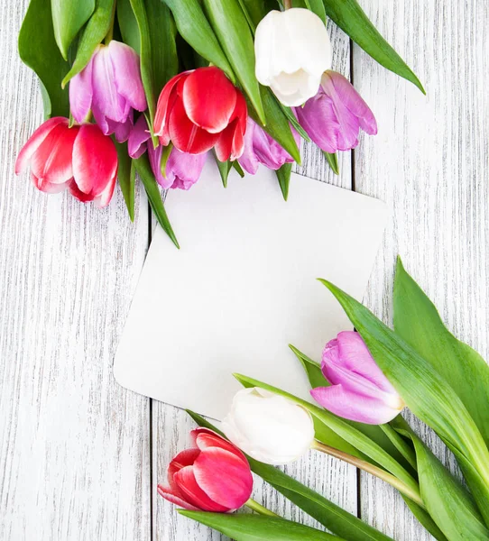 Tulip bouquet and blank  card — Stock Photo, Image