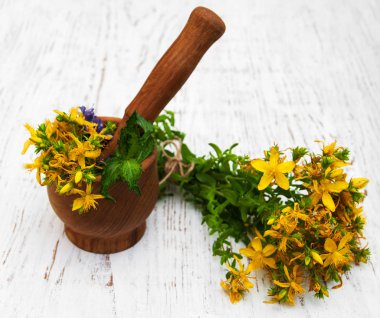 Tutsan çiçekler ve harç