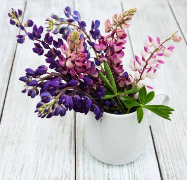 Cam vazo içinde sunulan lupines