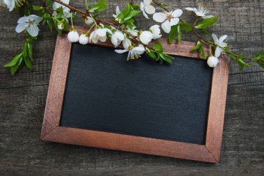 Bahar kiraz çiçeği ve yazı tahtası