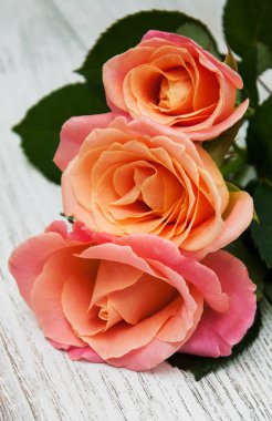 Ahşap arka planda pembe güller