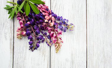 Bir masaya acı bakla çiçek