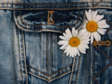 Daisy kot pantolon cebinde