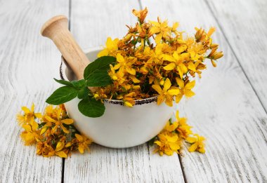 Saint-John's-wort harç içinde