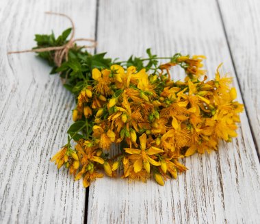 Saint-John's-wort masada