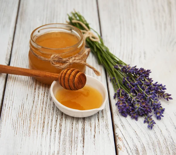 Flores de miel y lavanda — Foto de Stock