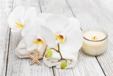 Orkide ile Spa Ürünleri