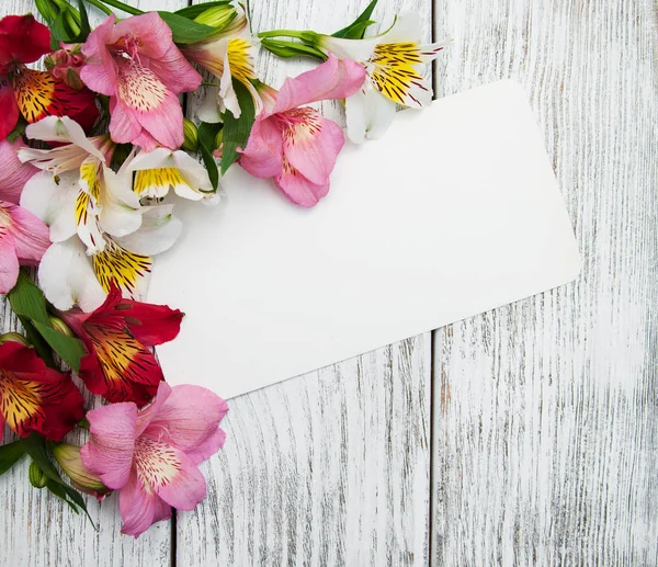 Kağıt kartı alstroemeria çiçekli — Stok fotoğraf