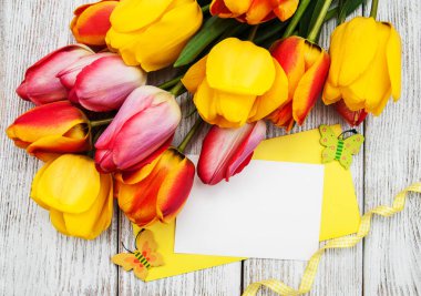 Bahar Lale çiçek ve kart