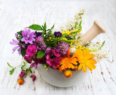 yabani çiçek ve bitki yaprak harç içinde