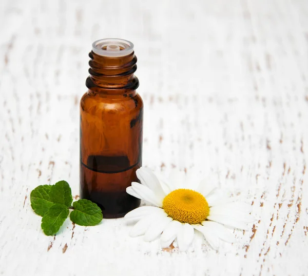Massage oil and chamomile — Stock Photo, Image