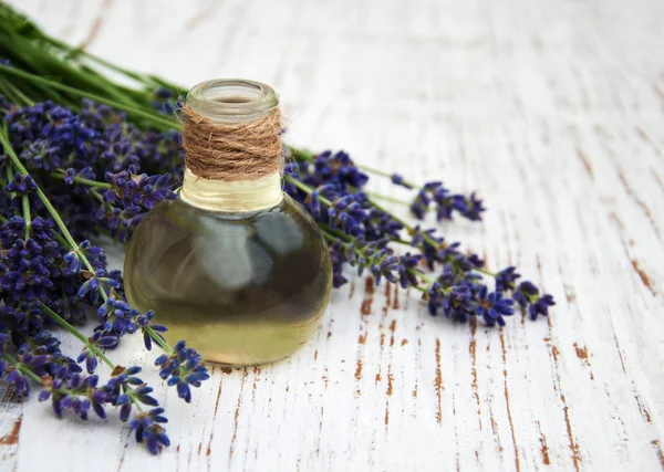 Óleo de lavanda com lavanda fresca — Fotografia de Stock