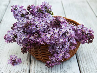 Bir masaya Lila çiçek