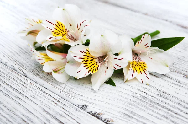 Flores alstroemeria em uma mesa — Fotografia de Stock