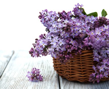 Eflatun çiçek sepeti