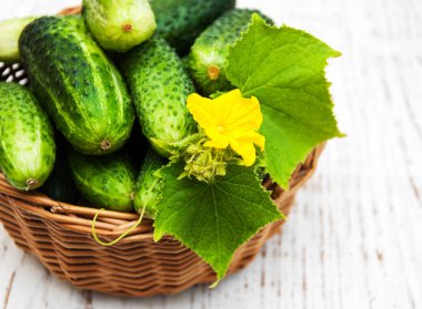 sepet içinde taze salatalık