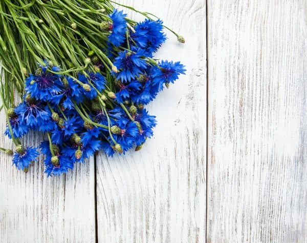 Blue summer  cornflowers — Stock Photo, Image