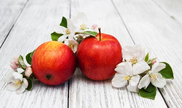 Manzanas y flores de manzanos — Foto de Stock