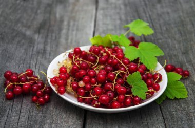 Kırmızı kuş üzümü ile plaka