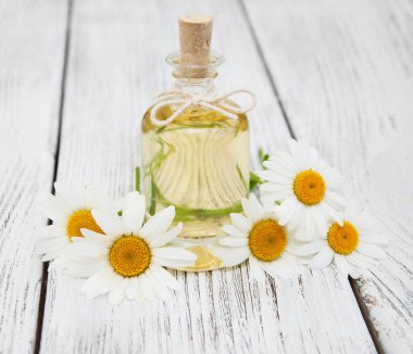 Masaj yağı ve papatya