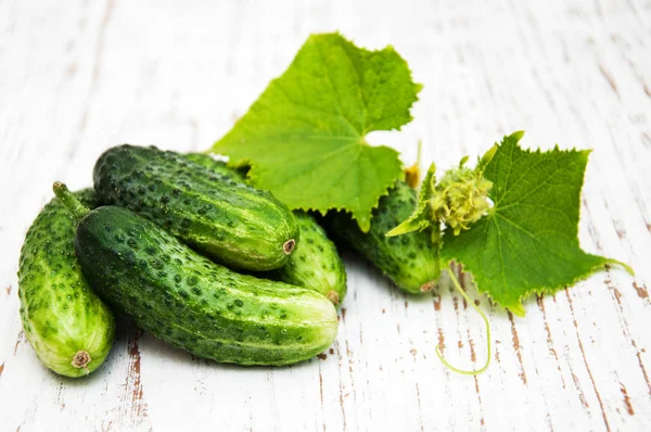 Fresh cucumbers on a table — Stock Photo, Image