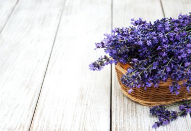 Lavanda çiçekli sepet