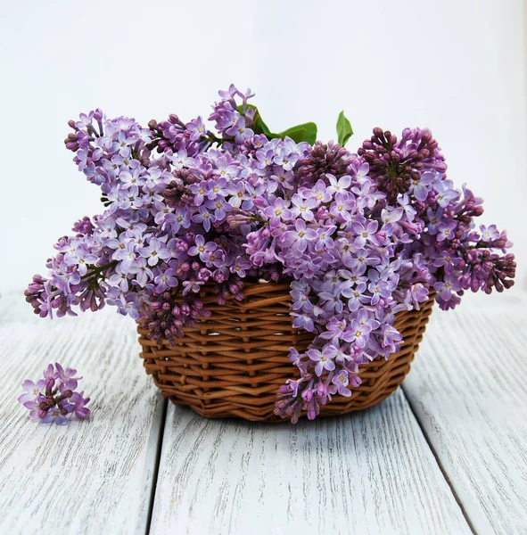 Lila blommor i korg — Stockfoto