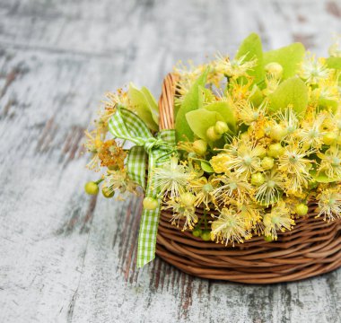 Ihlamur çiçek sepeti